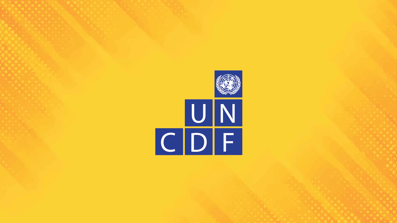 Investment in action newsletter - UN Capital Development Fund (UNCDF)